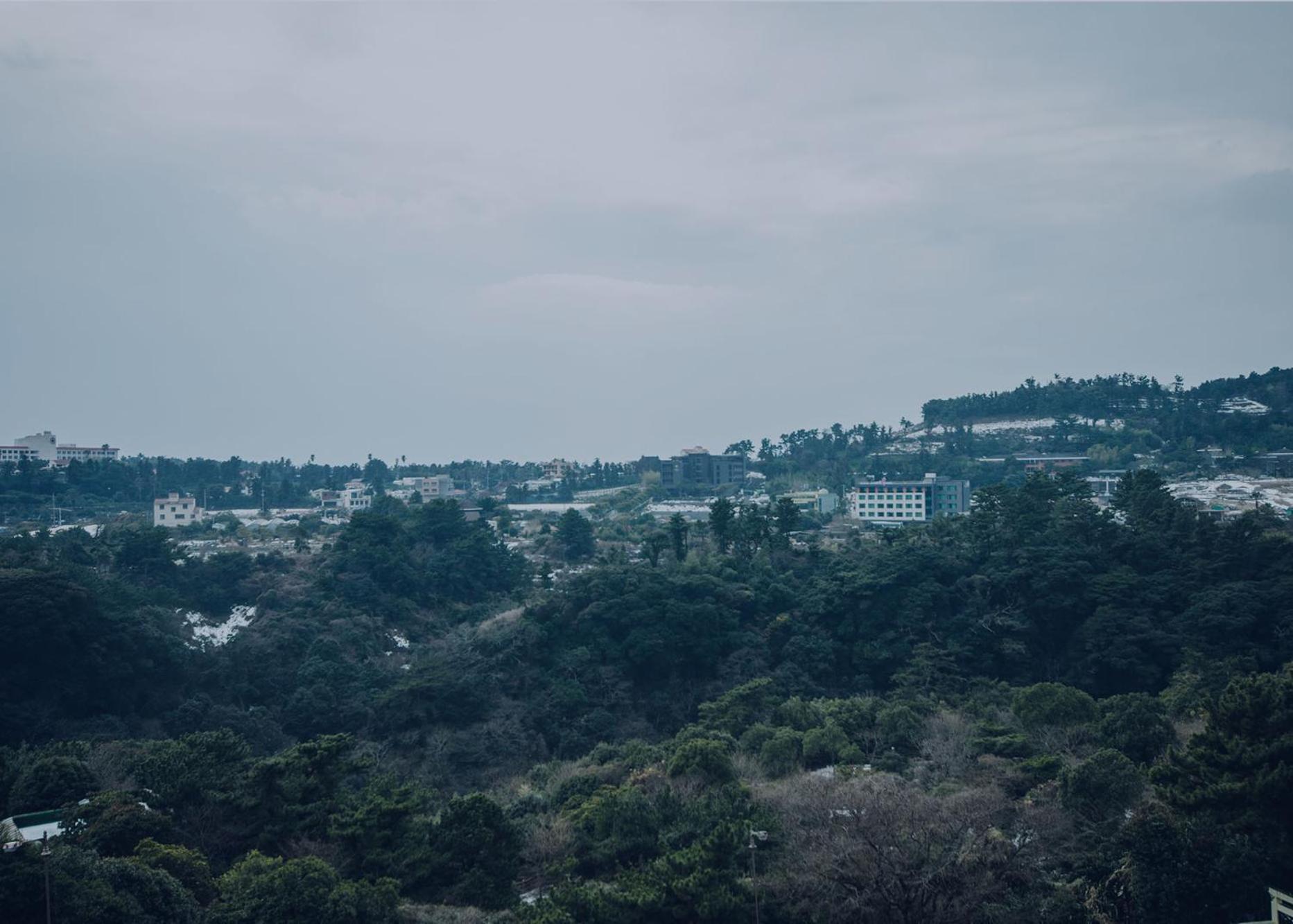 Jeju Lavender Hotel Seogwipo Eksteriør billede